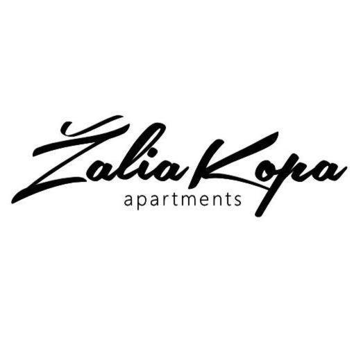 Zalia Kopa Apartments Palanga Eksteriør bilde