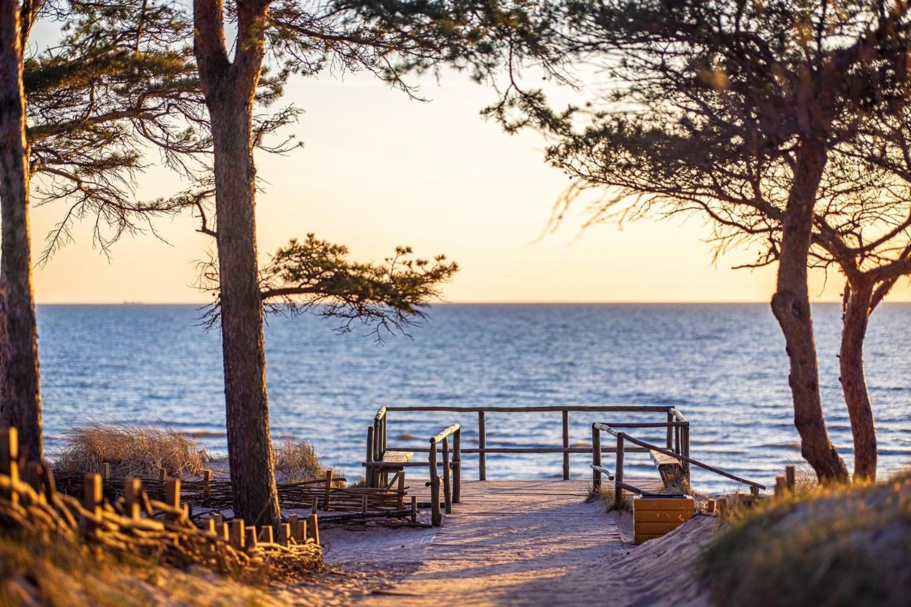 Zalia Kopa Apartments Palanga Eksteriør bilde